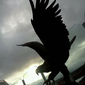 Meet your Posher, Dean